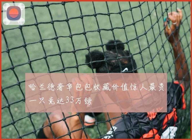 哈兰德奢华包包收藏价值惊人最贵一只竟达33万镑